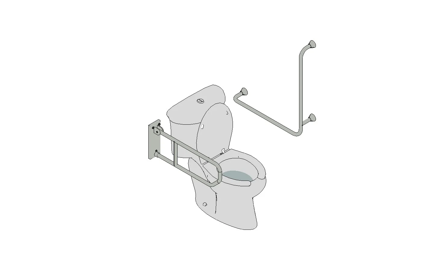 Accessible WC Toilet