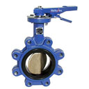 Butterfly Valve Metraflex-Butterfly_Valve.rfa