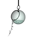 Hanging Plant Landscape Component