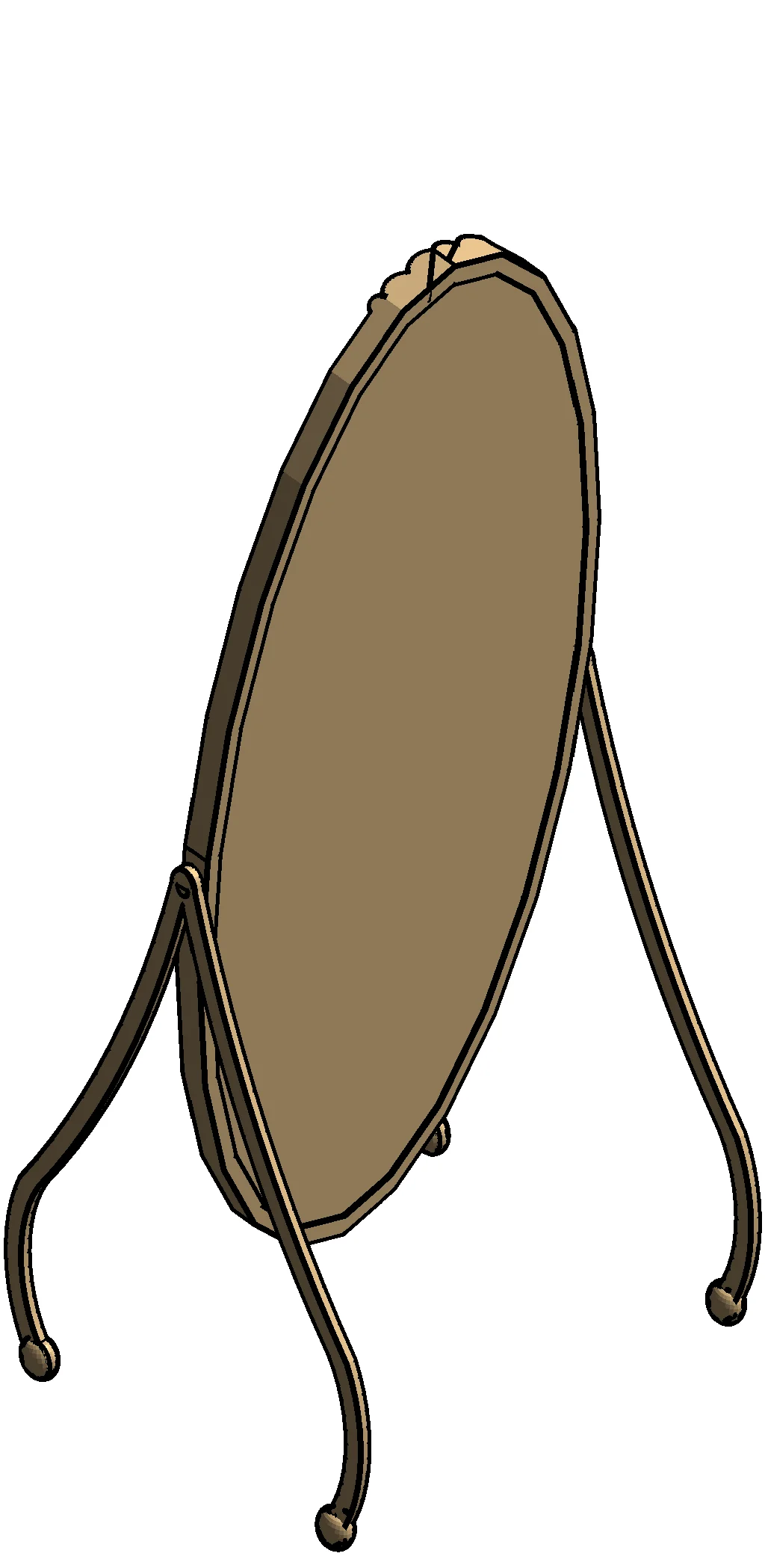 Oval Full Length Mirror