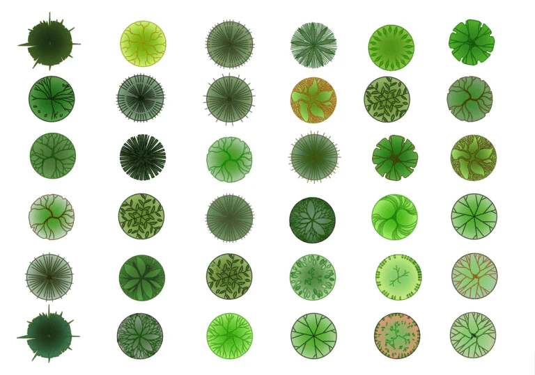 Trees Top View CAD Blocks